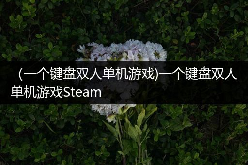 （一个键盘双人单机游戏)一个键盘双人单机游戏Steam