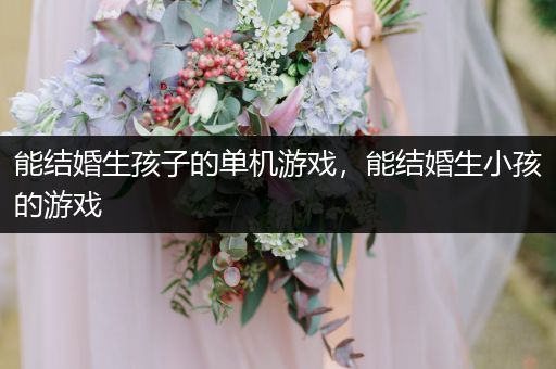 能结婚生孩子的单机游戏，能结婚生小孩的游戏