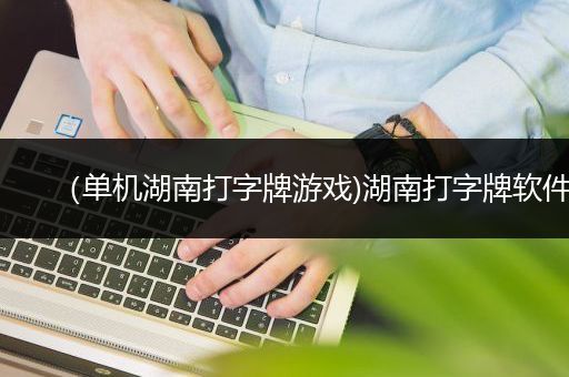 （单机湖南打字牌游戏)湖南打字牌软件