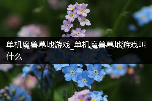 单机魔兽墓地游戏_单机魔兽墓地游戏叫什么