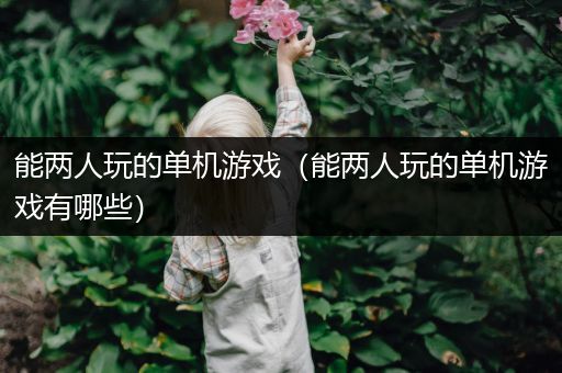 能两人玩的单机游戏（能两人玩的单机游戏有哪些）