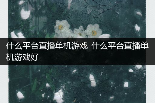 什么平台直播单机游戏-什么平台直播单机游戏好