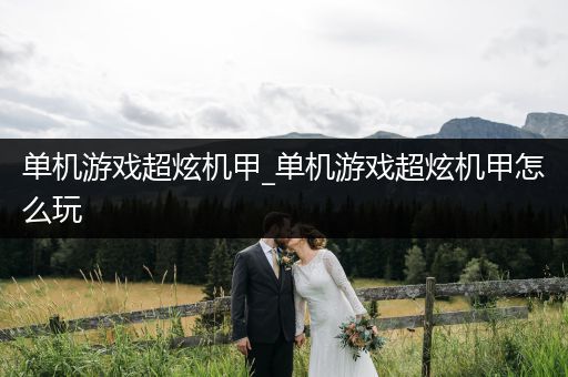 单机游戏超炫机甲_单机游戏超炫机甲怎么玩