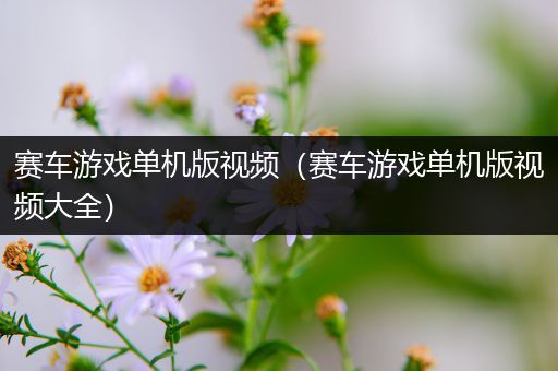 赛车游戏单机版视频（赛车游戏单机版视频大全）