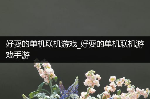 好耍的单机联机游戏_好耍的单机联机游戏手游