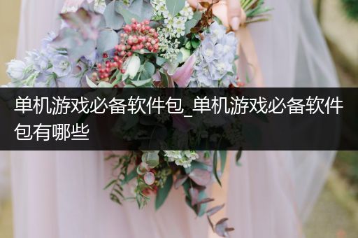 单机游戏必备软件包_单机游戏必备软件包有哪些