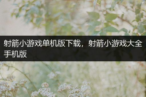 射箭小游戏单机版下载，射箭小游戏大全手机版