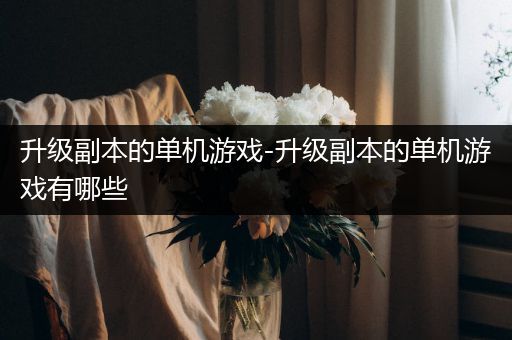 升级副本的单机游戏-升级副本的单机游戏有哪些