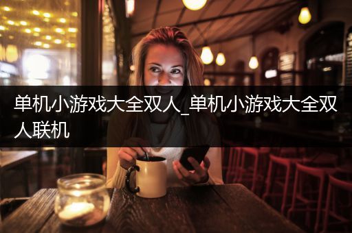 单机小游戏大全双人_单机小游戏大全双人联机