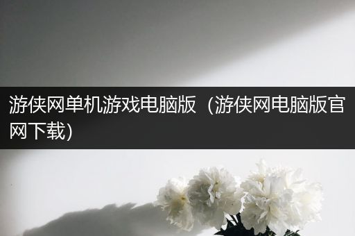 游侠网单机游戏电脑版（游侠网电脑版官网下载）