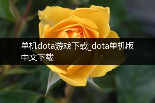 单机dota游戏下载_dota单机版中文下载