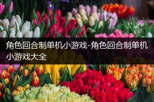 角色回合制单机小游戏-角色回合制单机小游戏大全