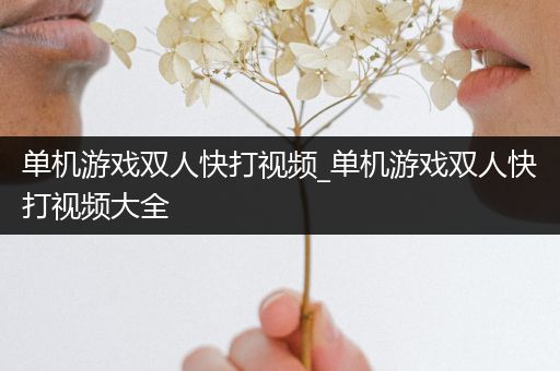 单机游戏双人快打视频_单机游戏双人快打视频大全