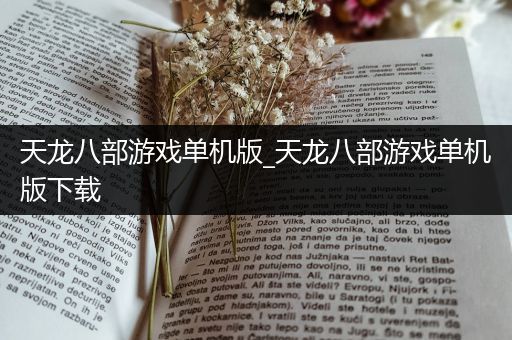 天龙八部游戏单机版_天龙八部游戏单机版下载