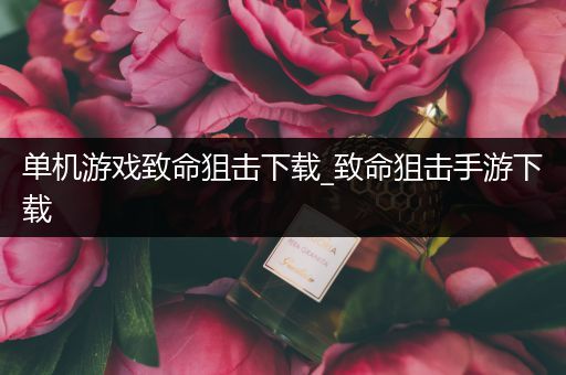 单机游戏致命狙击下载_致命狙击手游下载