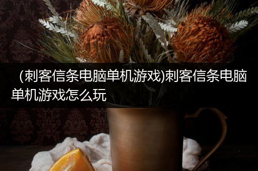 （刺客信条电脑单机游戏)刺客信条电脑单机游戏怎么玩