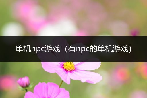 单机npc游戏（有npc的单机游戏）