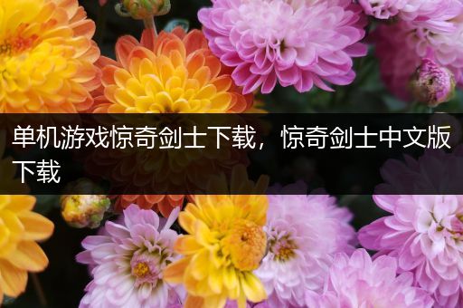 单机游戏惊奇剑士下载，惊奇剑士中文版下载