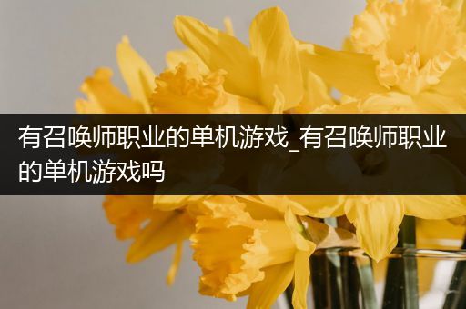 有召唤师职业的单机游戏_有召唤师职业的单机游戏吗