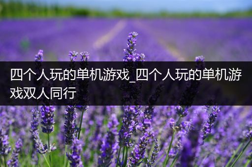 四个人玩的单机游戏_四个人玩的单机游戏双人同行