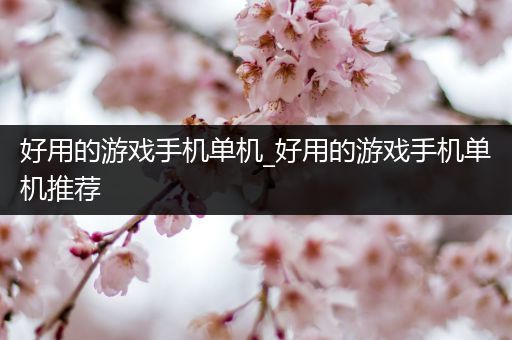 好用的游戏手机单机_好用的游戏手机单机推荐