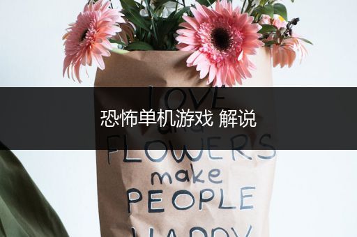 恐怖单机游戏 解说