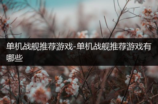 单机战舰推荐游戏-单机战舰推荐游戏有哪些