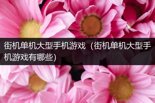 街机单机大型手机游戏（街机单机大型手机游戏有哪些）