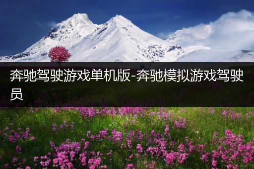 奔驰驾驶游戏单机版-奔驰模拟游戏驾驶员