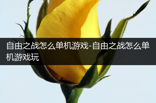 自由之战怎么单机游戏-自由之战怎么单机游戏玩