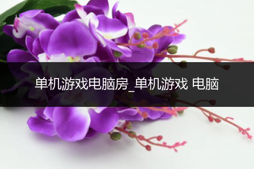 单机游戏电脑房_单机游戏 电脑