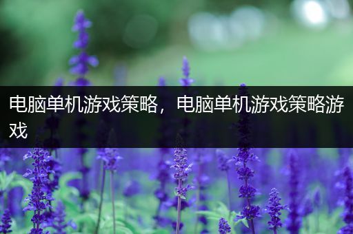 电脑单机游戏策略，电脑单机游戏策略游戏