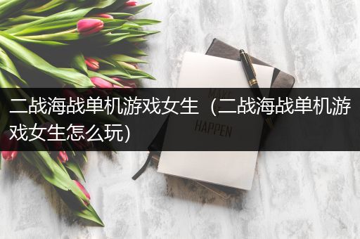 二战海战单机游戏女生（二战海战单机游戏女生怎么玩）
