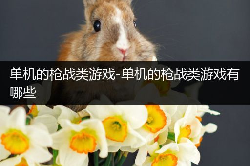 单机的枪战类游戏-单机的枪战类游戏有哪些
