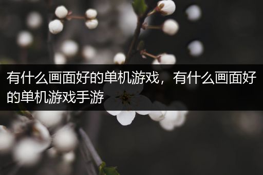 有什么画面好的单机游戏，有什么画面好的单机游戏手游