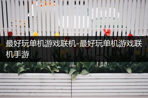 最好玩单机游戏联机-最好玩单机游戏联机手游