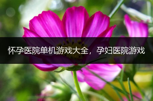 怀孕医院单机游戏大全，孕妇医院游戏