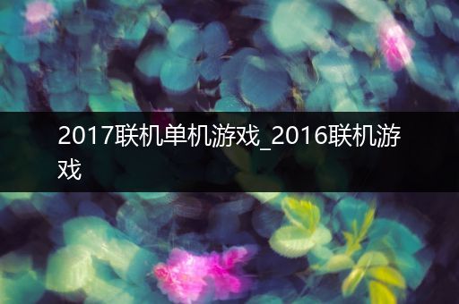 2017联机单机游戏_2016联机游戏