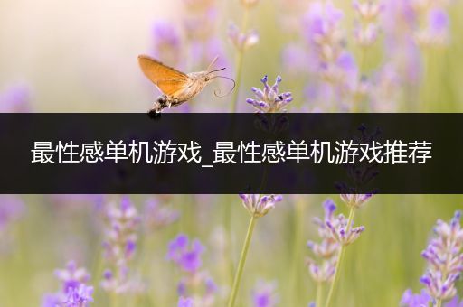 最性感单机游戏_最性感单机游戏推荐