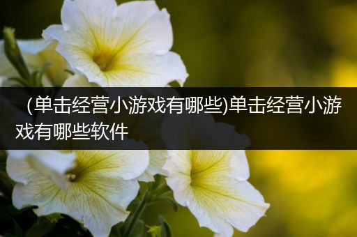 （单击经营小游戏有哪些)单击经营小游戏有哪些软件