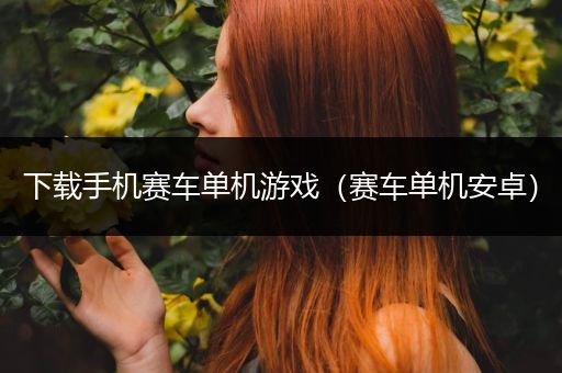 下载手机赛车单机游戏（赛车单机安卓）