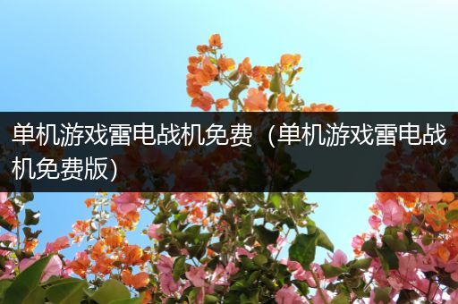 单机游戏雷电战机免费（单机游戏雷电战机免费版）