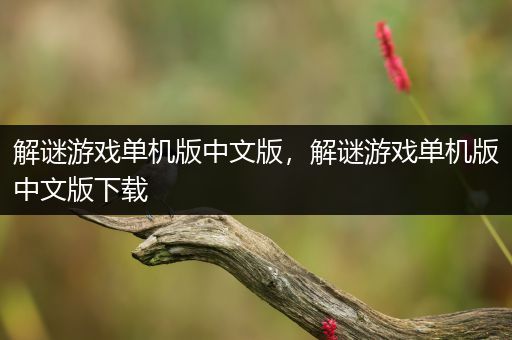 解谜游戏单机版中文版，解谜游戏单机版中文版下载