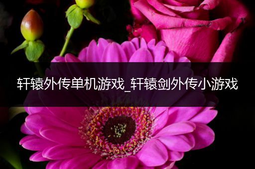 轩辕外传单机游戏_轩辕剑外传小游戏