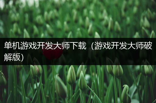 单机游戏开发大师下载（游戏开发大师破解版）