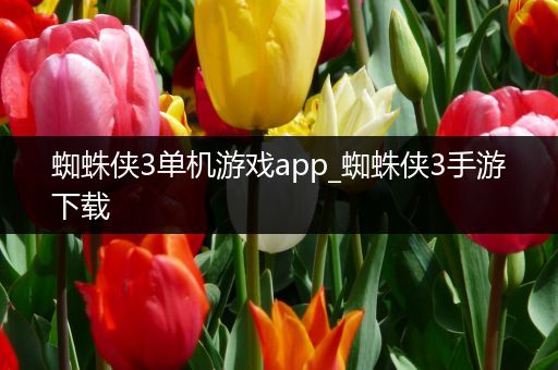 蜘蛛侠3单机游戏app_蜘蛛侠3手游下载