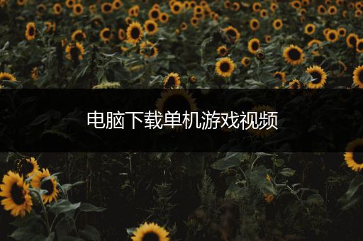 电脑下载单机游戏视频