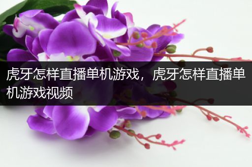 虎牙怎样直播单机游戏，虎牙怎样直播单机游戏视频