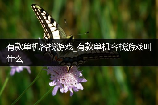 有款单机客栈游戏_有款单机客栈游戏叫什么