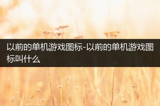 以前的单机游戏图标-以前的单机游戏图标叫什么